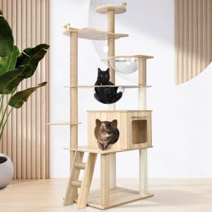 Cat Tree or Scratching Post