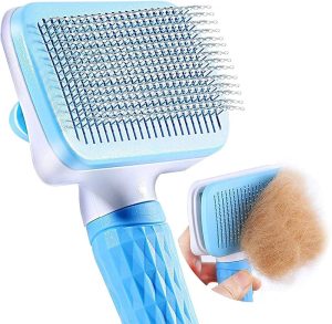 Grooming Brush