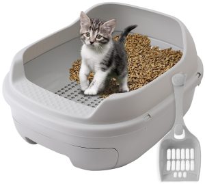 Litter Box and Litter